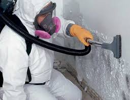 Best Environmental Consulting for Mold Prevention  in Archie, MO